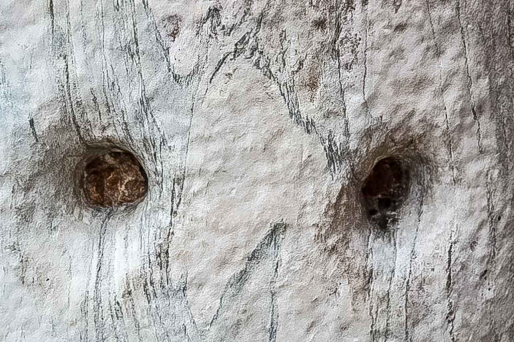 Kolumna przy Bazylice św. Ambrożego