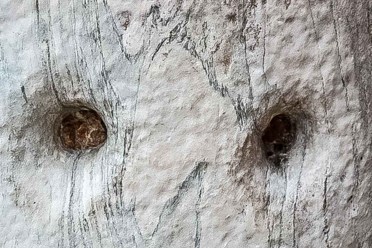 Kolumna z charakterystycznymi dziurami, legendarnie uznawanymi za ślady po rogach diabła, znajdująca się obok Bazyliki świętego Ambrożego w Mediolanie.