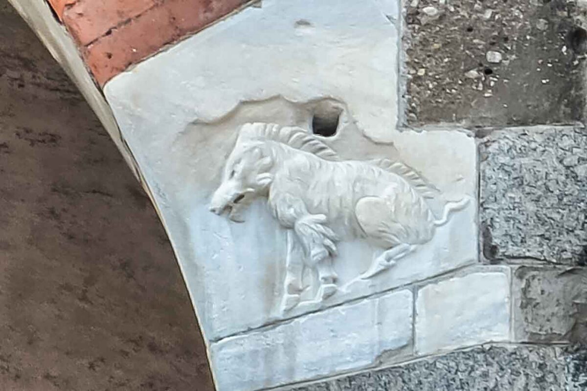 Maciora - symbol Mediolanu