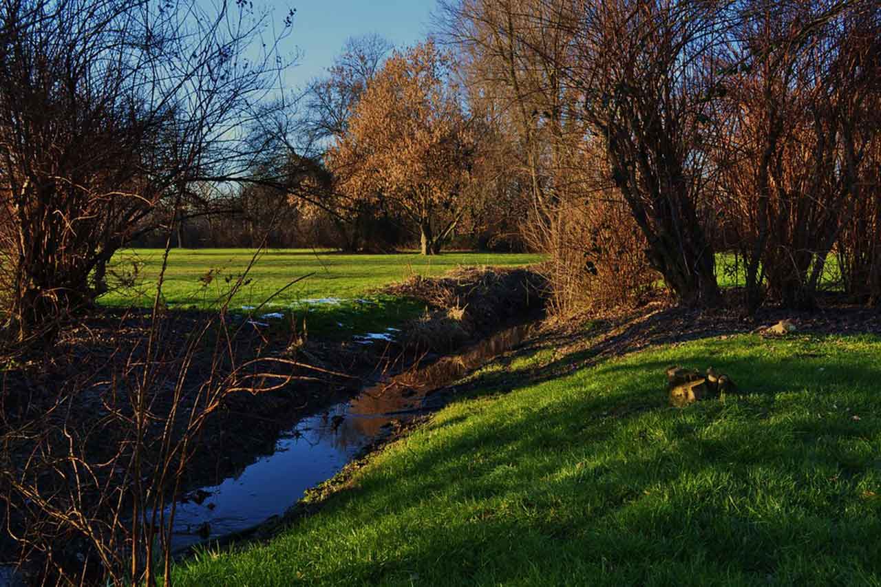 Bosco in città in Milan, a green oasis in the heart of the urban jungle.