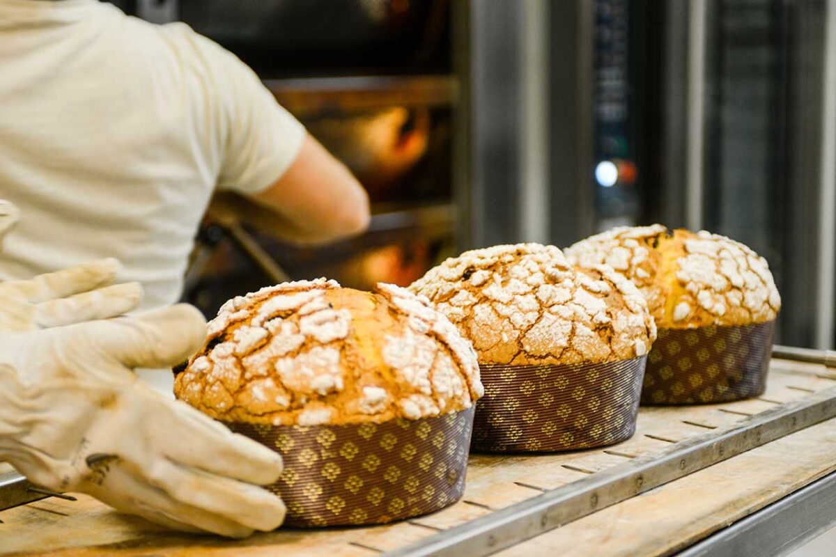 Panettone