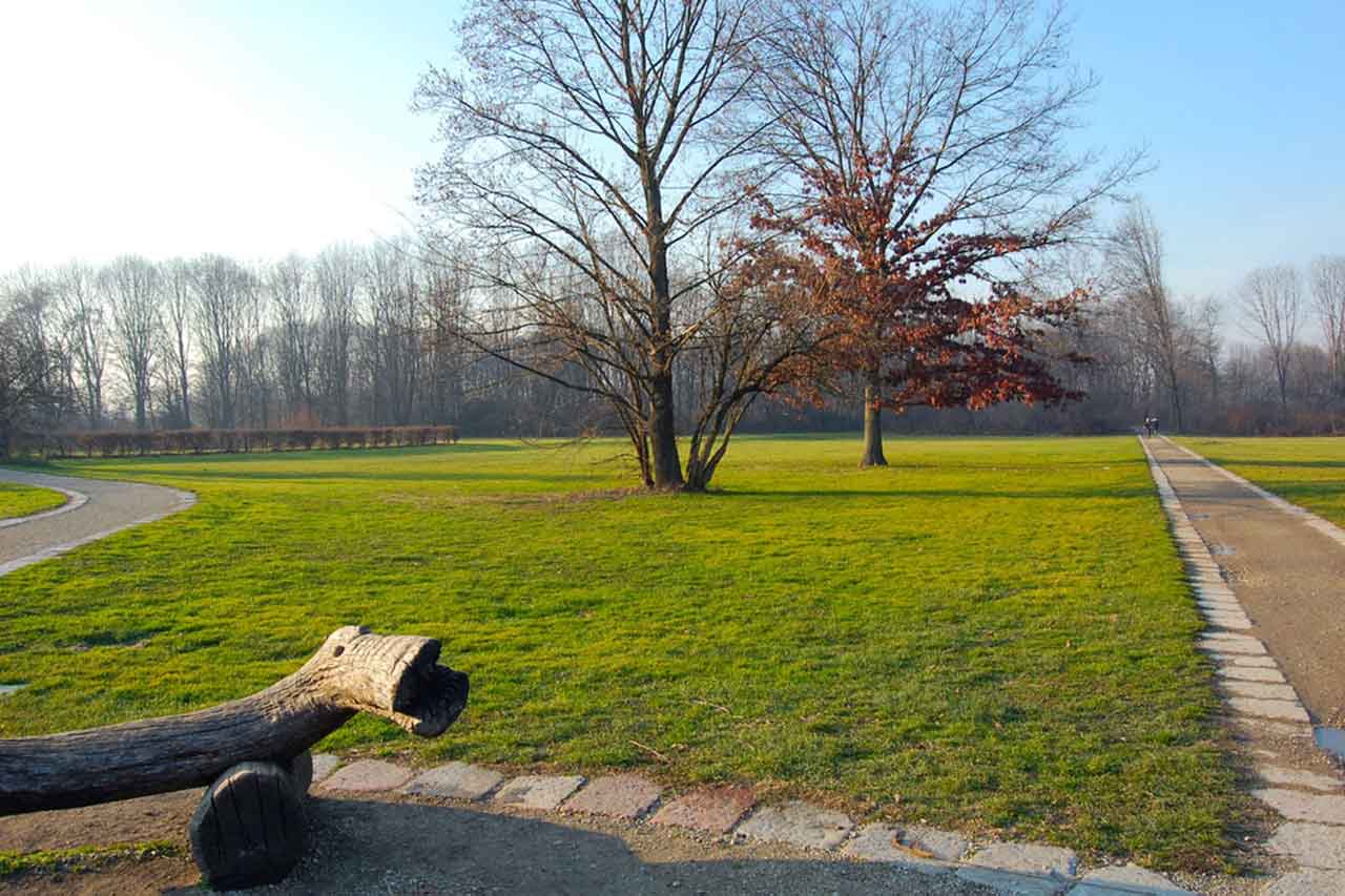 Park Bosco in Città w Mediolanie, zielona przestrzeń miejska z lasami, stawami i ścieżkami, idealna do rekreacji i odpoczynku na łonie natury.