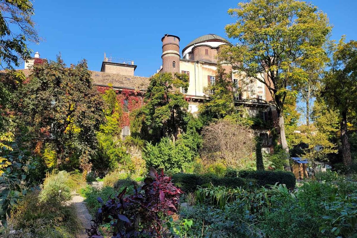 Ogród botaniczny Orto Botanico di Brera w Mediolanie, pełen unikalnych roślin i spokojnych alejek